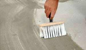 Regal Round Up November