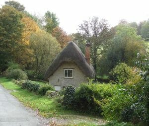 Traditional Paints & Painting Plaster