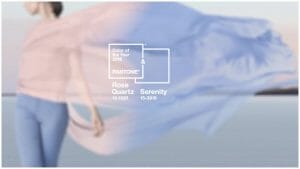 Springtime Spruce Ups & Colour Picking