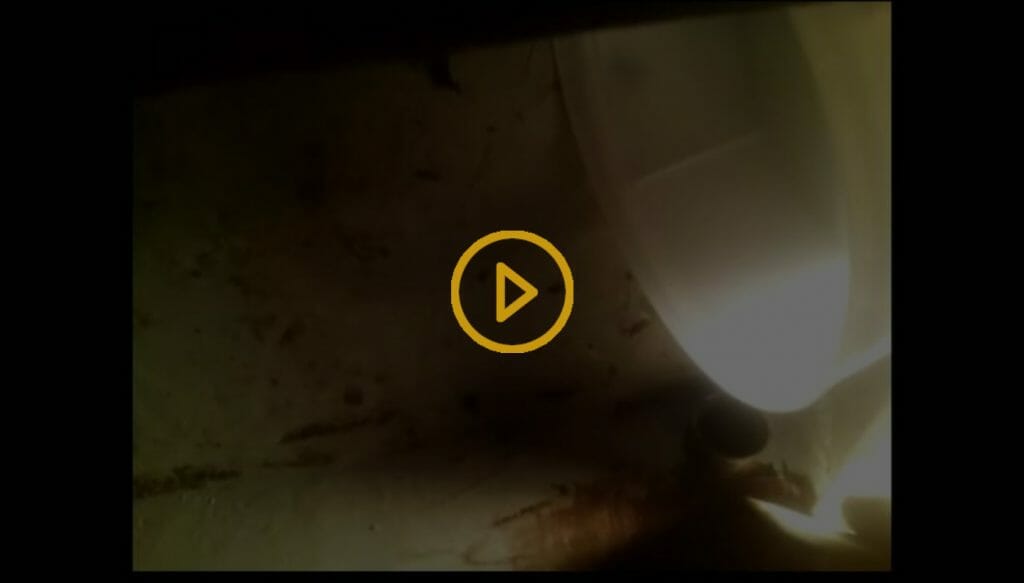 Rotton Wood Boat Repair