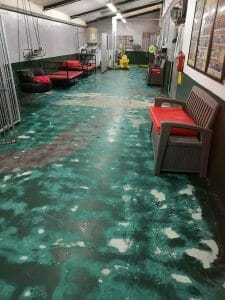 Kennel Paint - Before