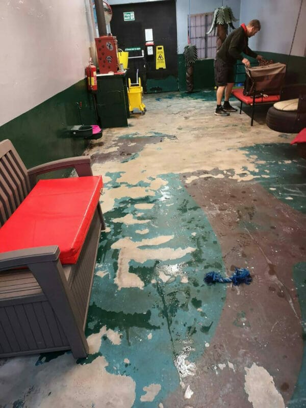 Dog Kennel Floor Paint Regal Paints, Industrial Protective Paints Ltd