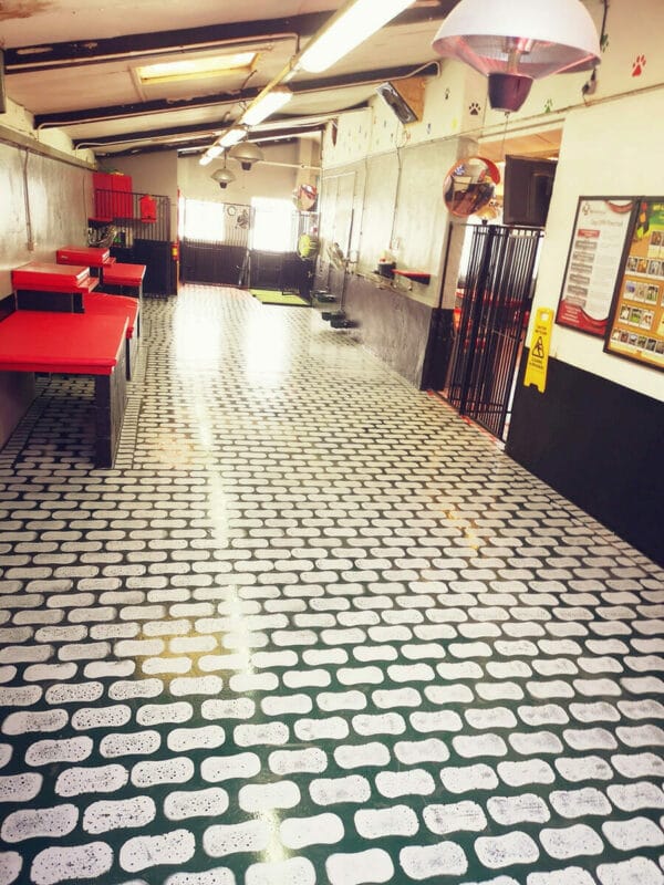 Dog Kennel Floor Paint Regal Paints, Industrial Protective Paints Ltd