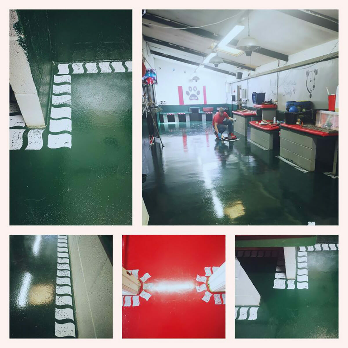 Dog Kennel Floor Paint Regal Paints, Industrial Protective Paints Ltd