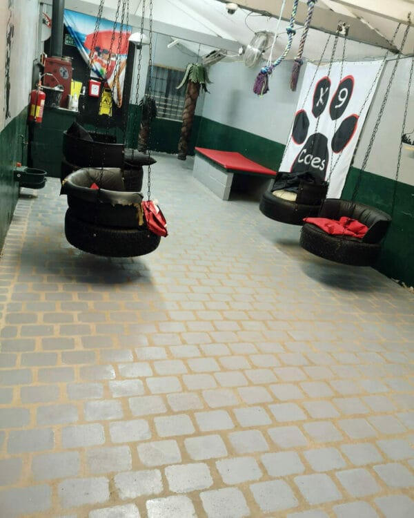 Dog Kennel Floor Paint Regal Paints, Industrial Protective Paints Ltd