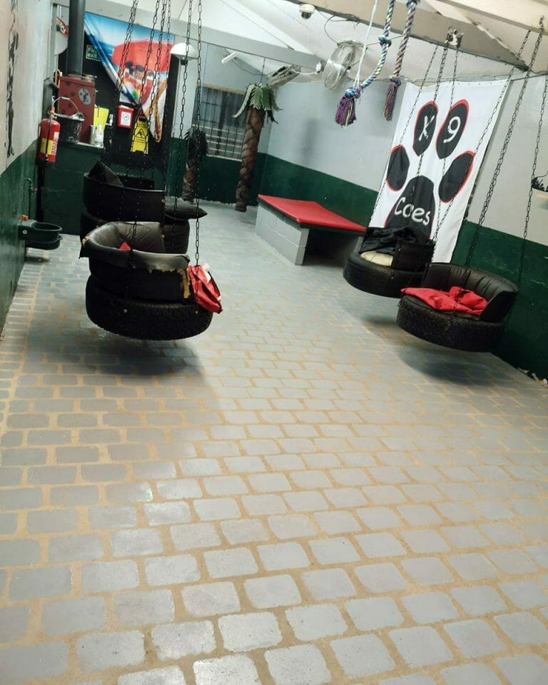 Dog Kennel Floor Paint Regal Paints, Industrial Protective Paints Ltd