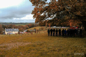 scallop-shell poppies