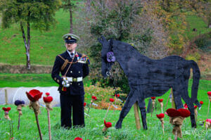 Scallop-shell poppies for Remembrance Day 2022