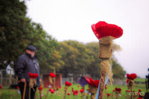 Scallop-shell poppies for Remembrance Day 2022