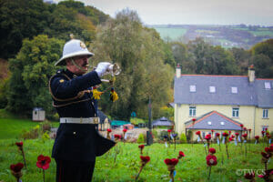 Scallop-shell poppies for Remembrance Day 2022