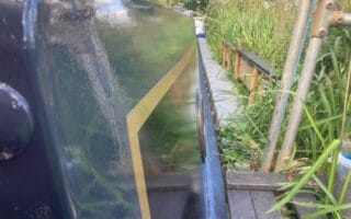 Narrowboat Paint